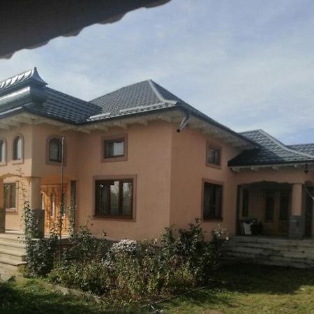 Villa Casa Ilea -Agapia Exterior foto