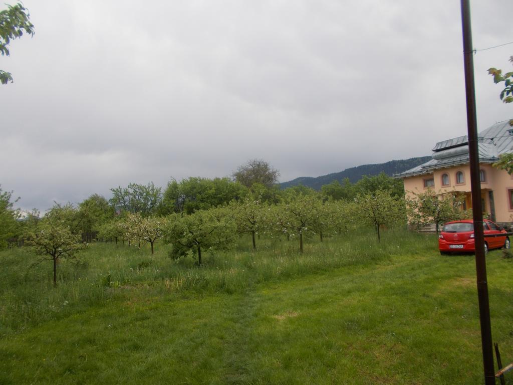 Villa Casa Ilea -Agapia Exterior foto